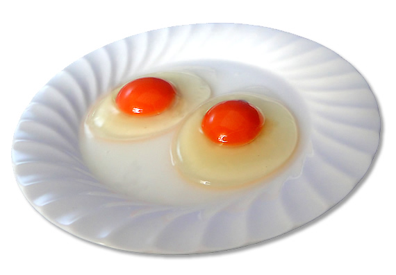 ĂƂ̂肱̋ʎq